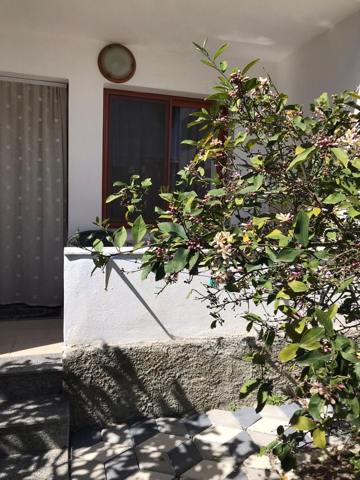 Vila Cano Hotel Durrës Exterior foto